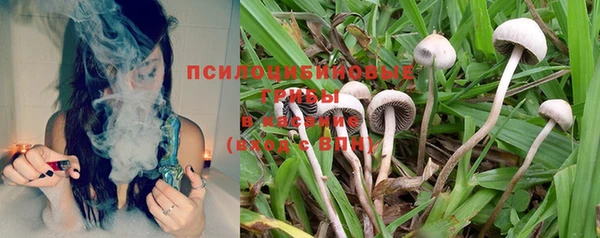 круглые Богданович